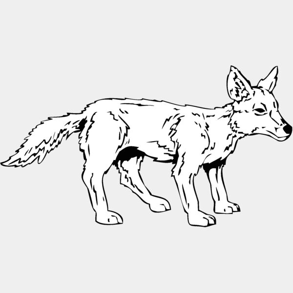 coyote Thumbnail