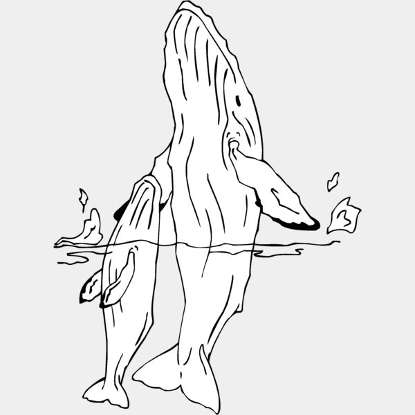 humpback whale Thumbnail