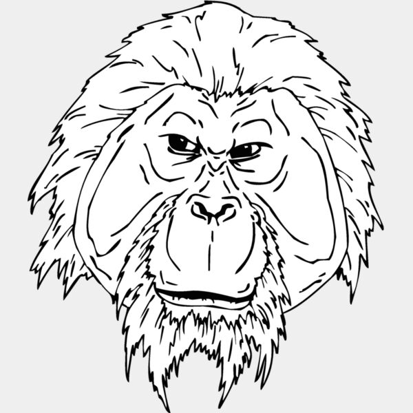 orangutan3 Thumbnail