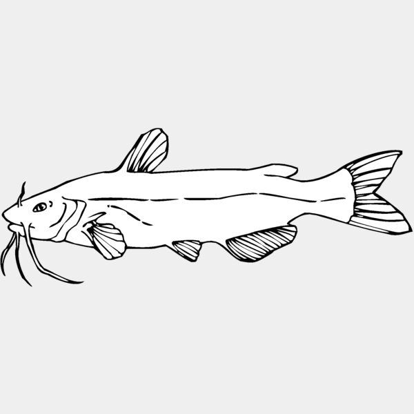 channel catfish01 Thumbnail