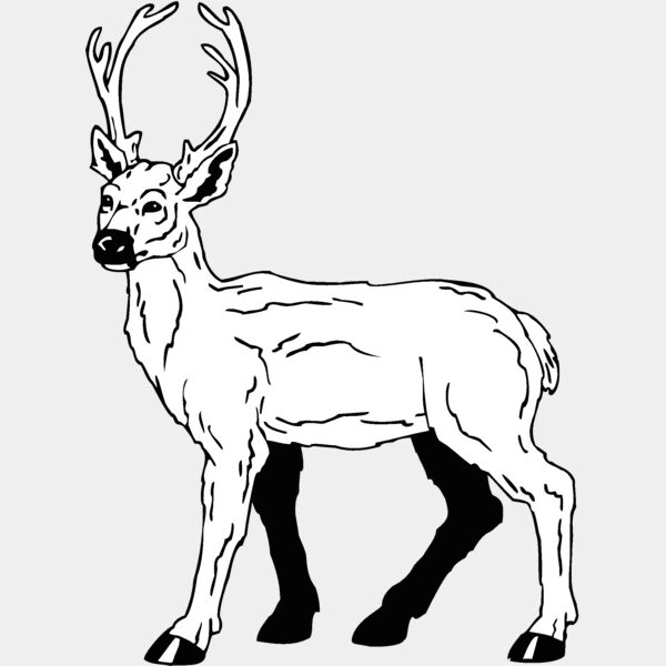 deer5 Thumbnail