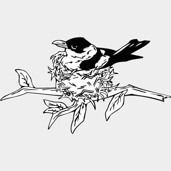 bird nesting Thumbnail