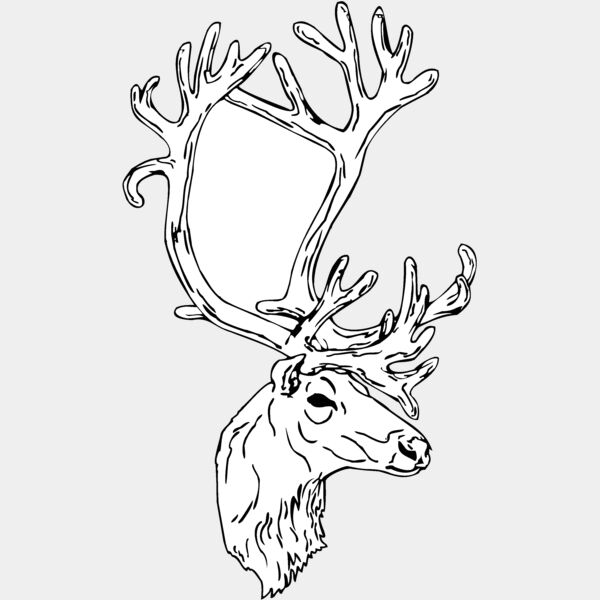 caribou2 Thumbnail