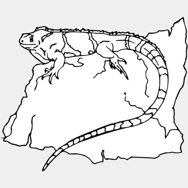 iguana 03 Thumbnail