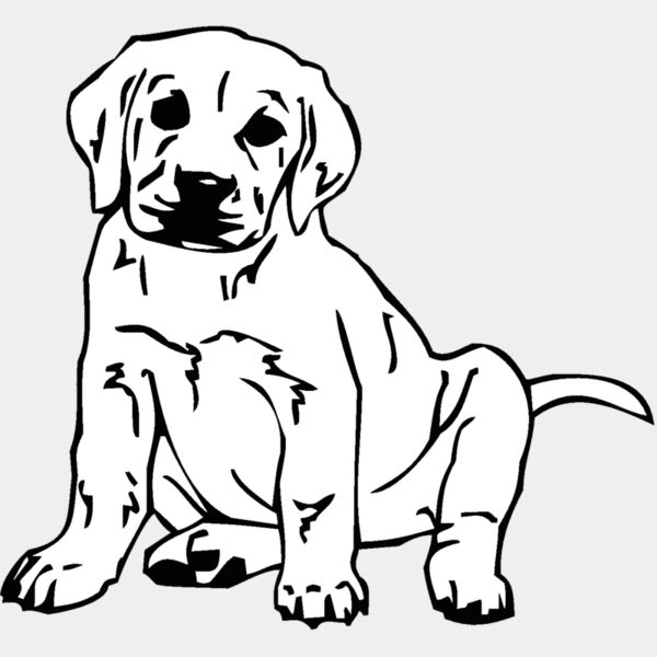 labrador Thumbnail