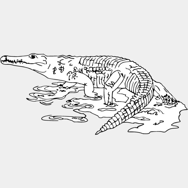 nilecrocodile Thumbnail