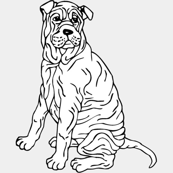 shar pei Thumbnail