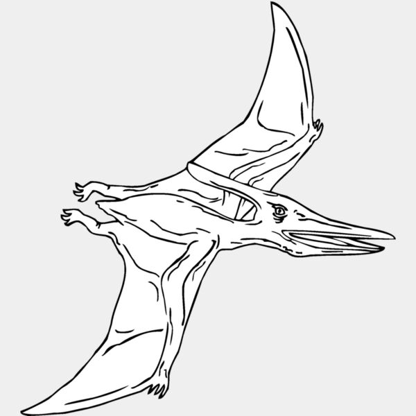 pteranod Thumbnail