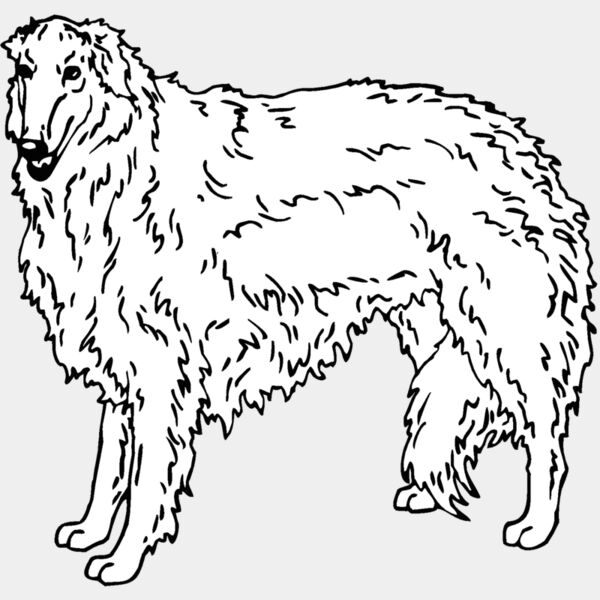 borzoi Thumbnail