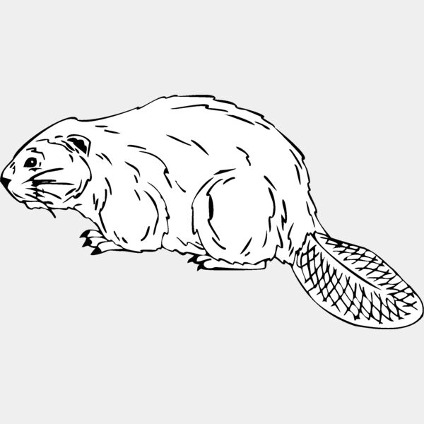 beaver Thumbnail