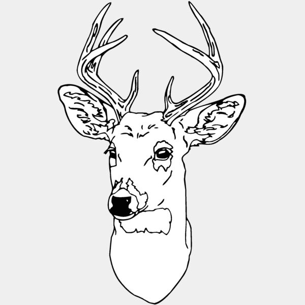 deer 6 Thumbnail