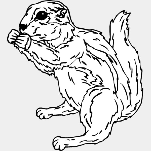 groundsquirrel Thumbnail