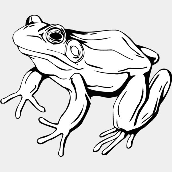 frog2 Thumbnail