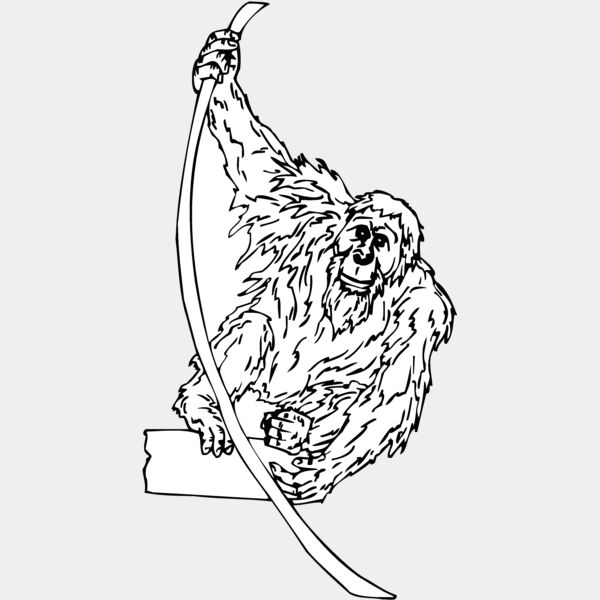 orangutan2 Thumbnail