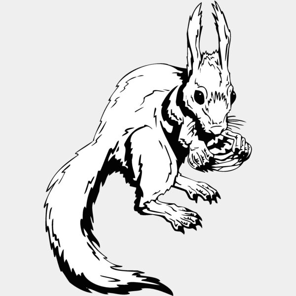 rabbit squirrel Thumbnail