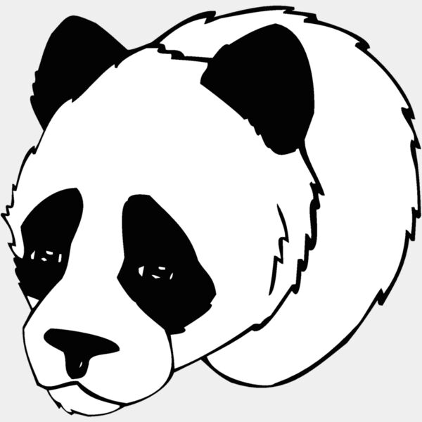 panda1 Thumbnail