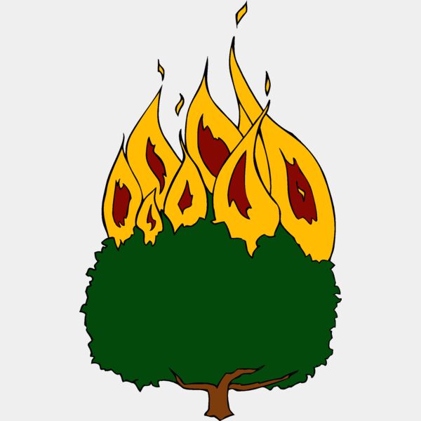 burningbush01 Thumbnail