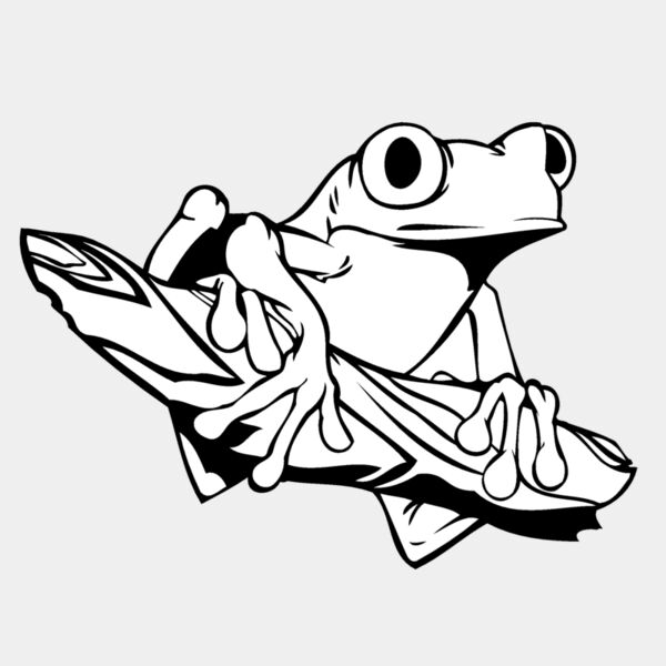 frog12 Thumbnail