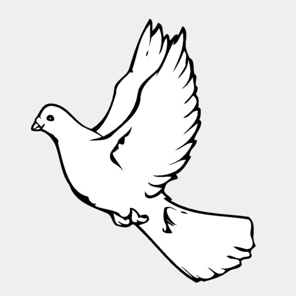 dove Thumbnail