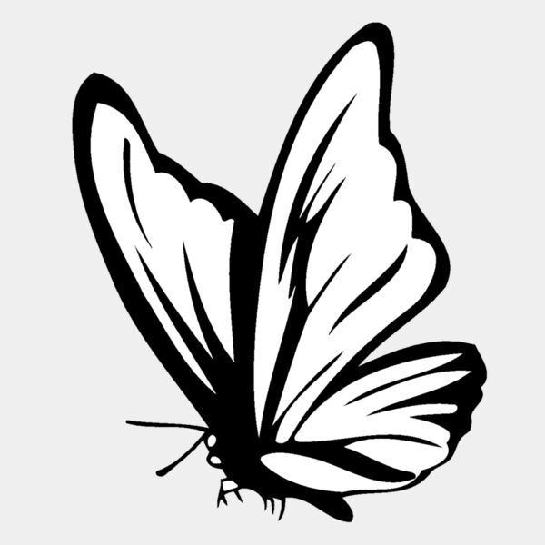 butterfly01 Thumbnail