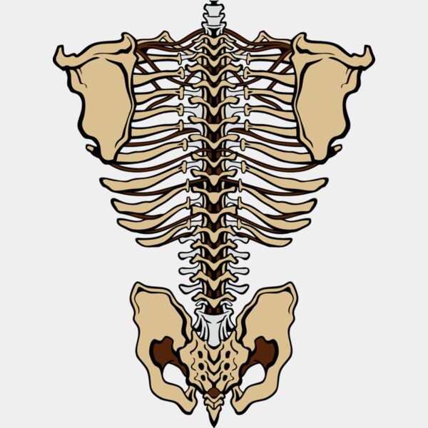 es3bones01clr Thumbnail