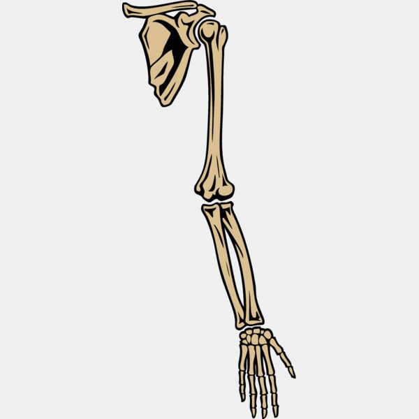 esbones003clr Thumbnail