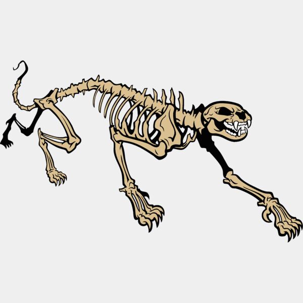 cougarpantherskeleton Thumbnail