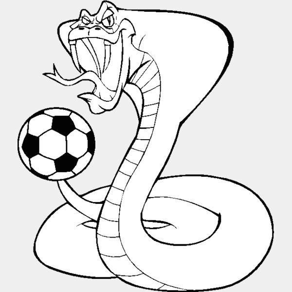 cobrascrbns Thumbnail