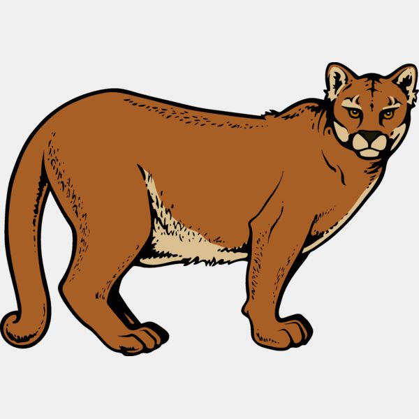 cougar13v4clr  2  Thumbnail