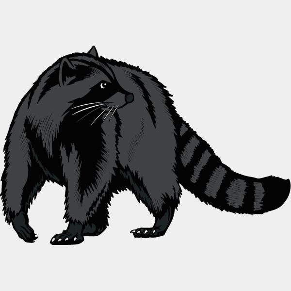 raccoon02v4clr Thumbnail
