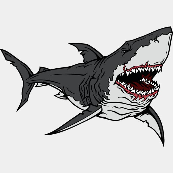 shark01v4clr Thumbnail