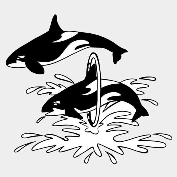 killerwhale02 Thumbnail