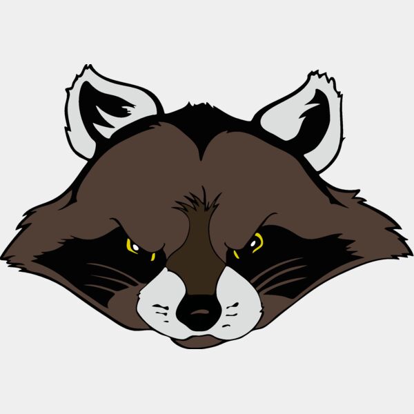raccoonhead01 Thumbnail