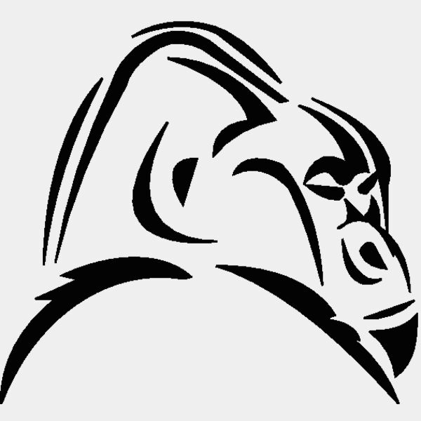 gorilla 13 Thumbnail