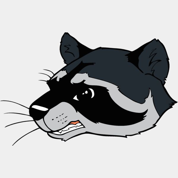 racoonhd04 Thumbnail