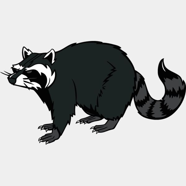 raccoonm08 Thumbnail