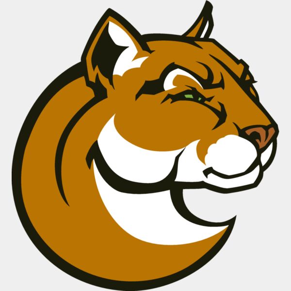 cougar03v4clr  2  Thumbnail