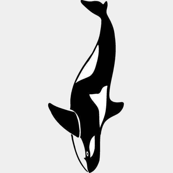 killerwhale04 Thumbnail