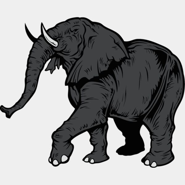 elephantj021 Thumbnail