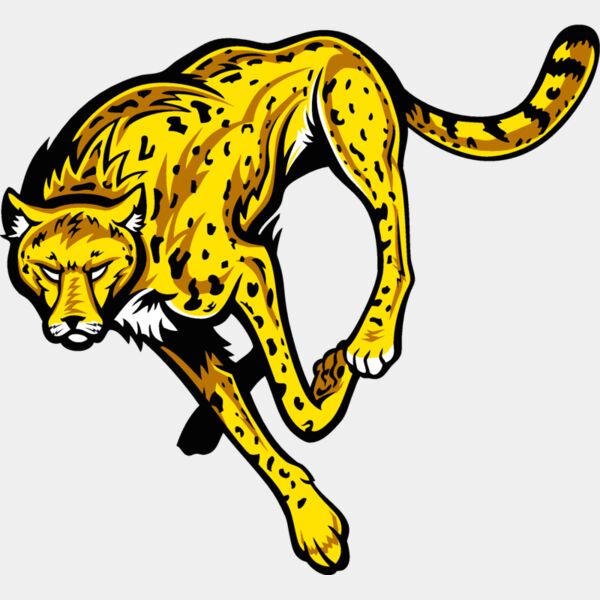 cheetahj021 Thumbnail