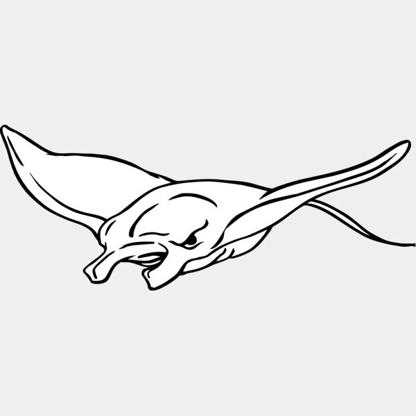 mantaray05 Thumbnail