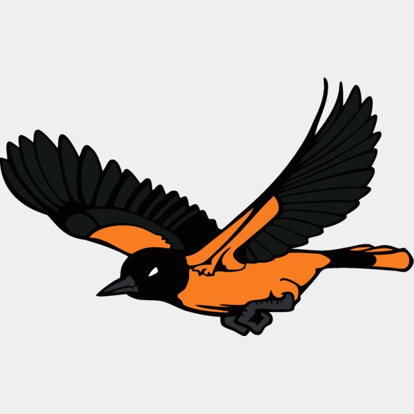 oriolemsct7 Thumbnail