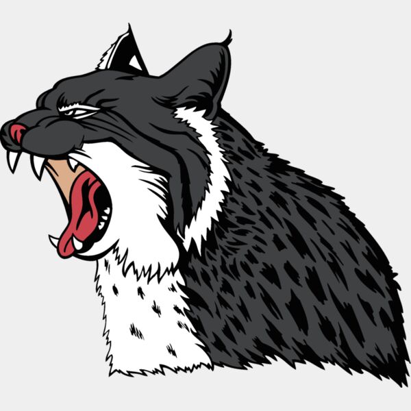 wildcat17v4clr Thumbnail