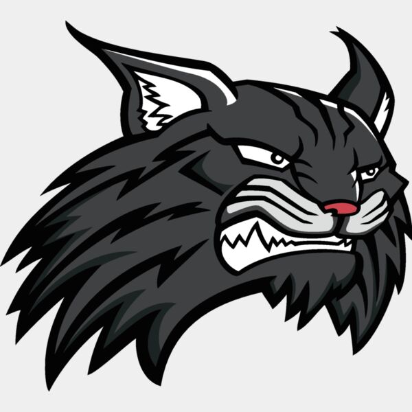 wildcat11v4clr Thumbnail