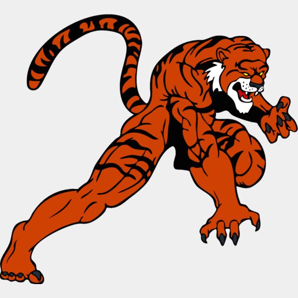 tigermsct 4 Thumbnail