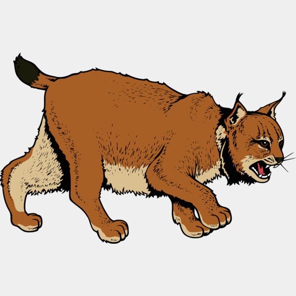 wildcat06v4clr Thumbnail