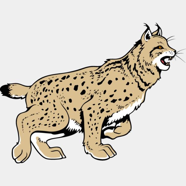 wildcat13v4clr Thumbnail