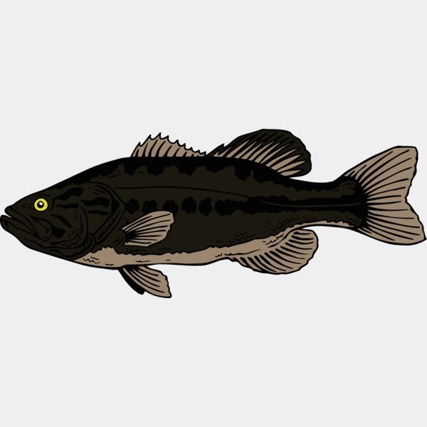 fish largemouthbass Thumbnail