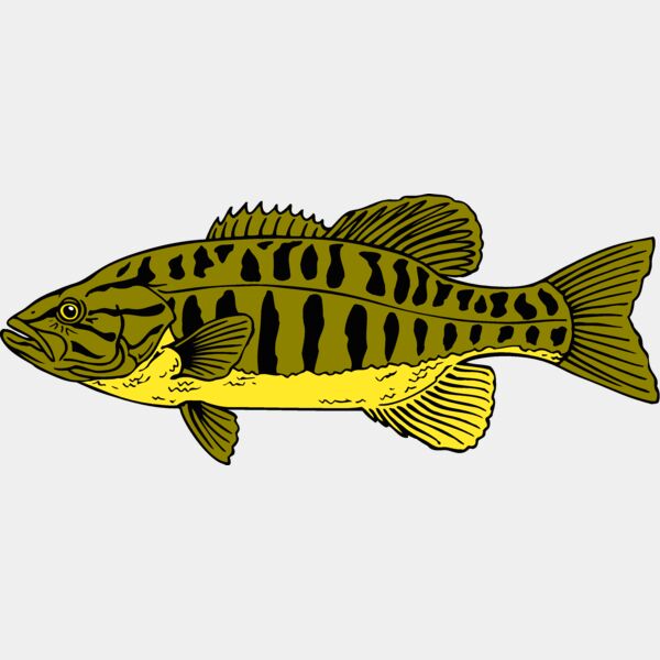 fish smallmouthbass 2 Thumbnail