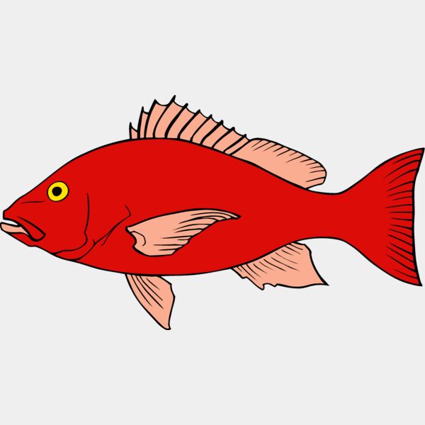 fish redsnapper Thumbnail